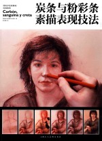 炭条与粉彩条素描表现技法 封面