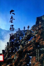 大秦岭巅峰 电子书封面