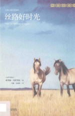 丝路好时光  哈萨克斯坦女博士的中国情缘 封面