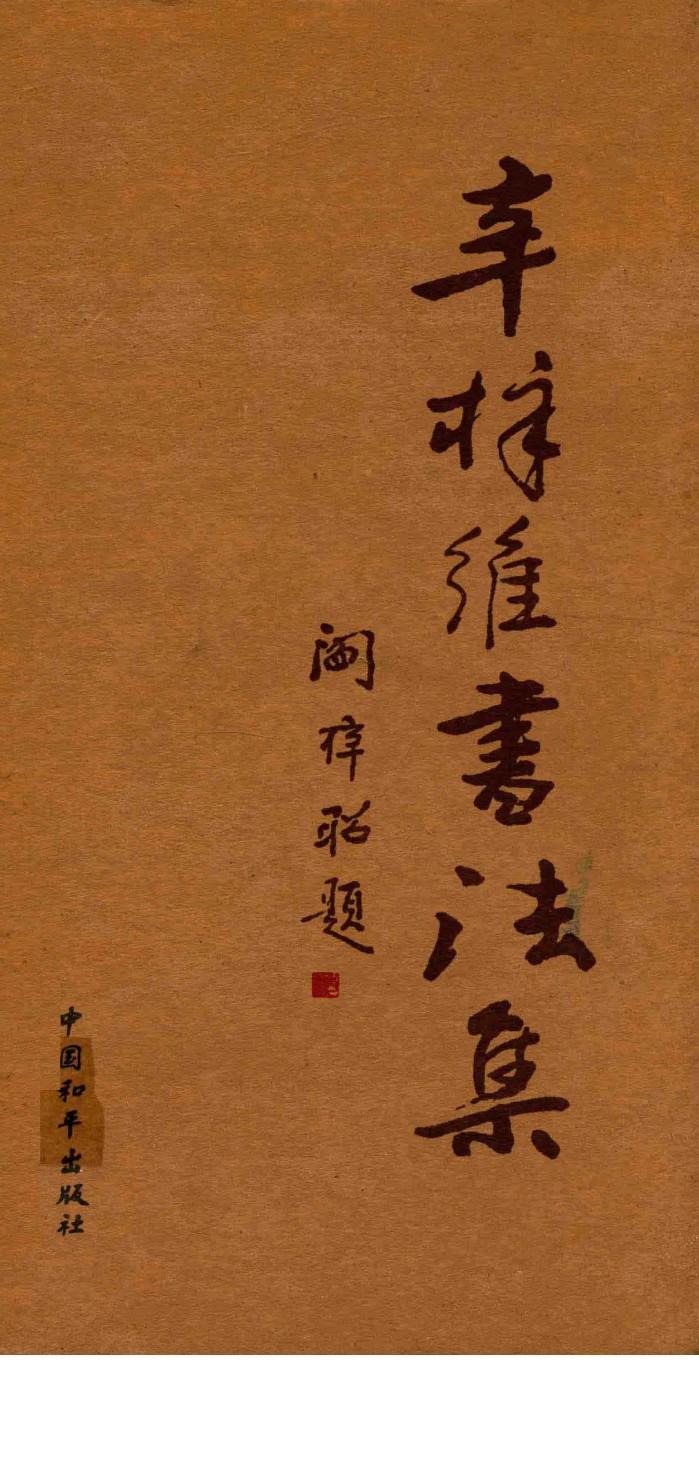 辛子维书画散文集 封面