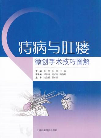 痔疮与肛瘘微创手术技巧图解 封面