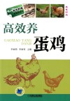 高效养蛋鸡 封面