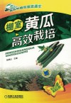 棚室黄瓜高效栽培 封面