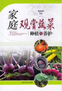 家庭观赏蔬菜种植与养护 封面