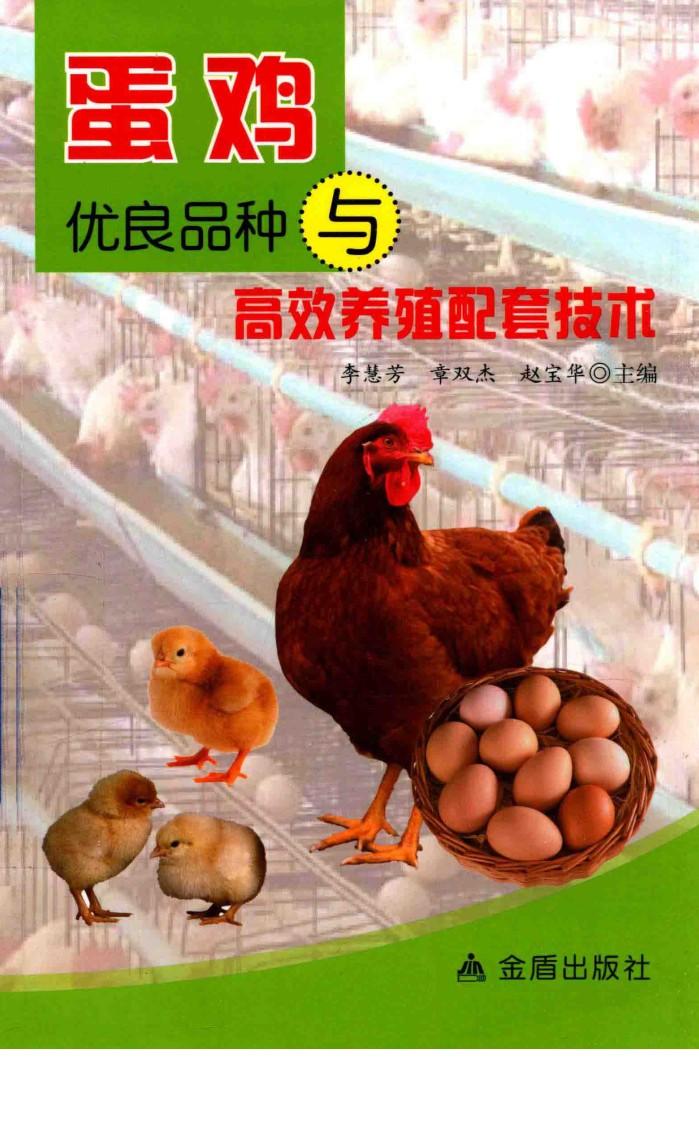 蛋鸡优良品种与高效养殖配套技术 封面