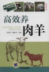 高效养肉羊 封面