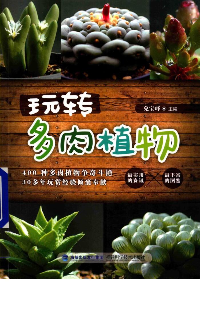玩转多肉植物 封面