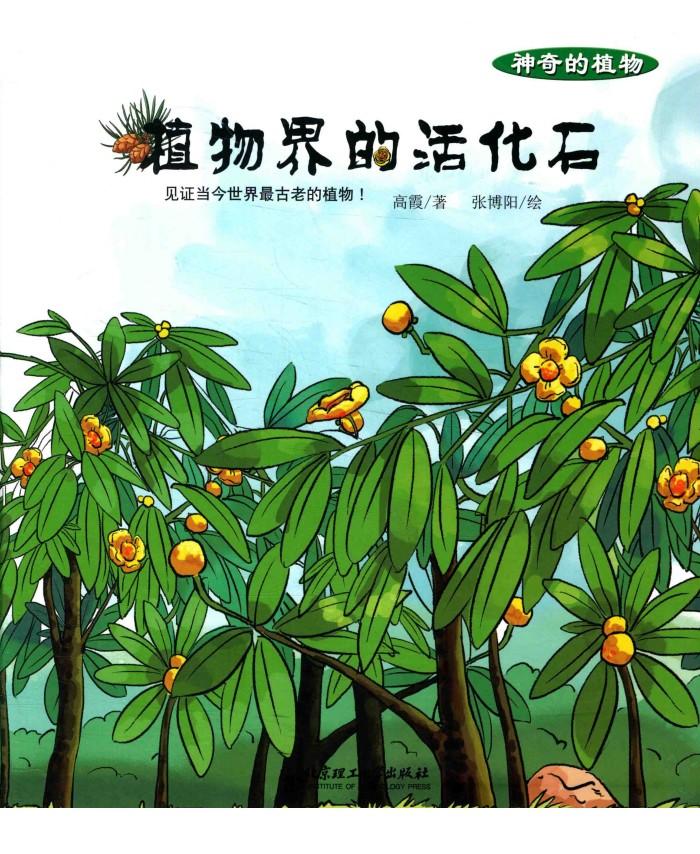 神奇的植物  植物界的活化石 封面