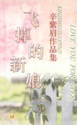 辛紫眉作品集系列  飞掉的新娘 封面