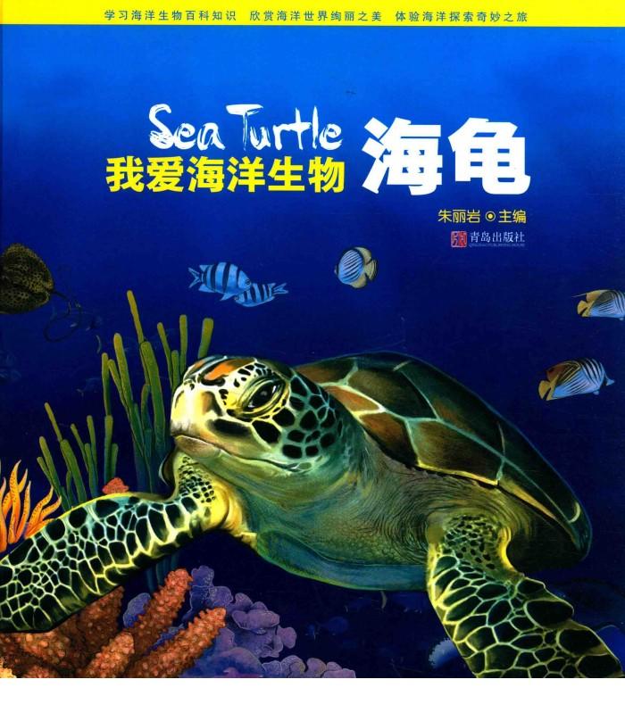 海龟 封面