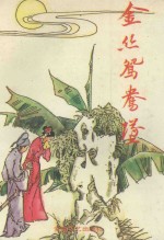 金丝鸳鸯坠 封面