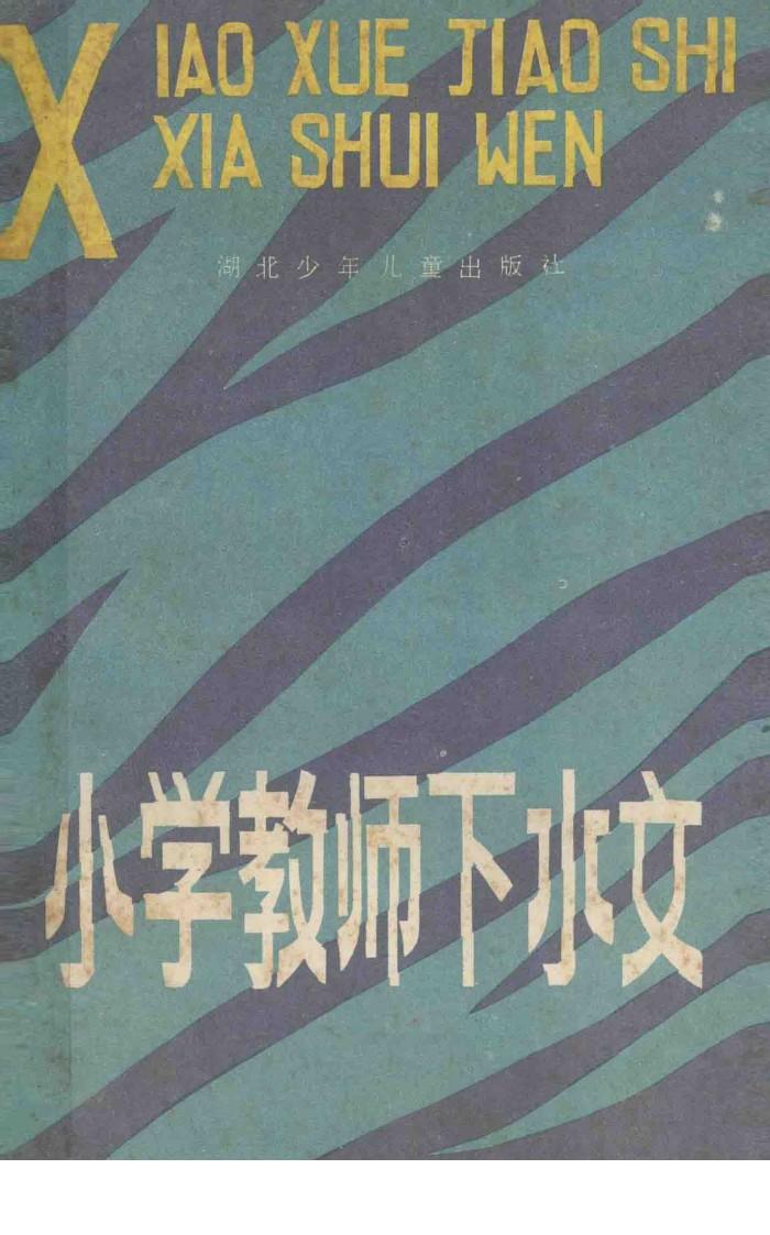 小学教师下水文 封面
