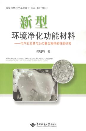 新型环境净化功能材料  电气石及其与ZnO复合粉体的性能研究 封面