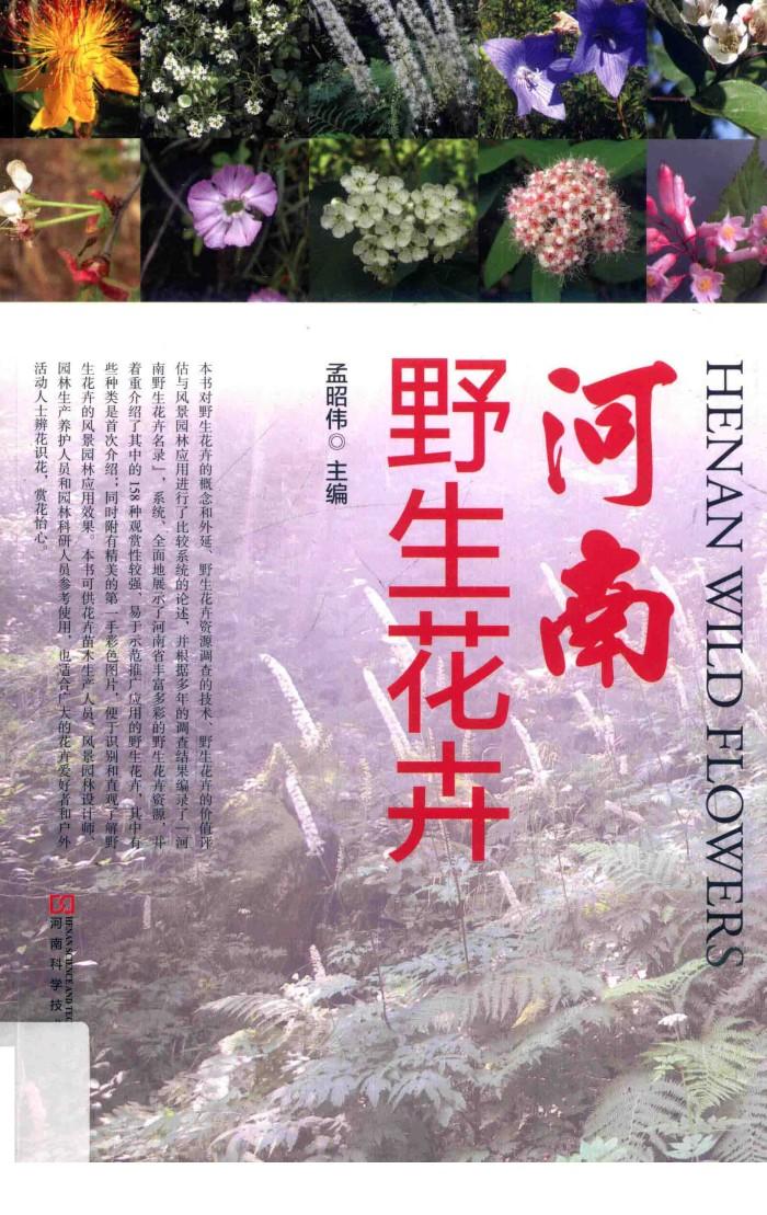 河南野生花卉 封面