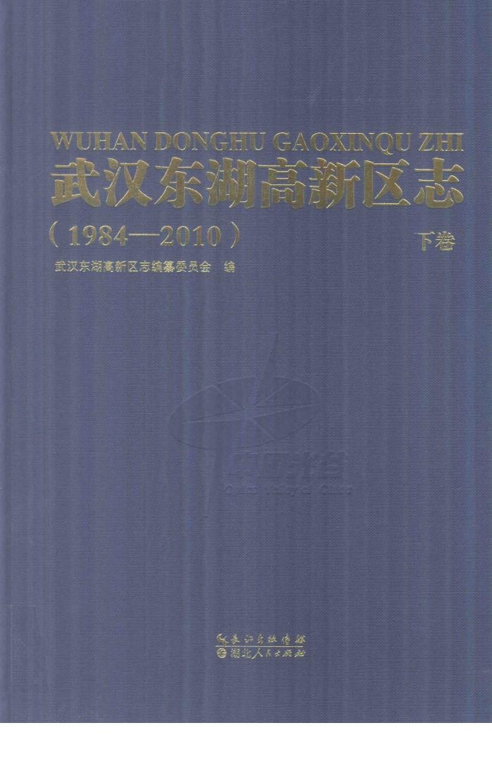 武汉东湖高新区志  1984-2010  下 封面
