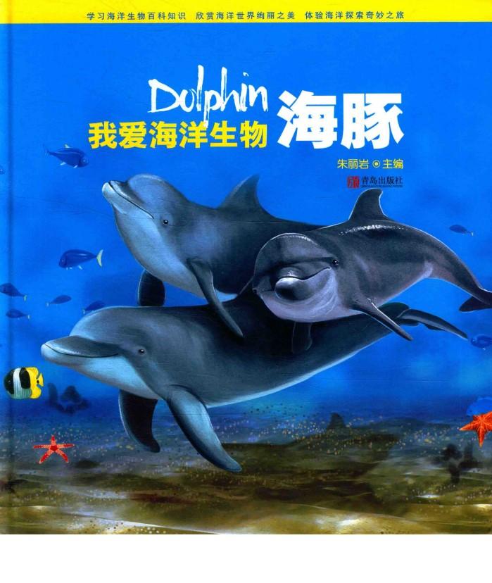 海豚 封面