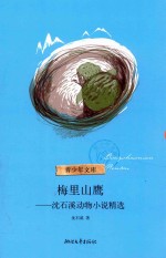 梅里山鹰  沈石溪动物小说精选 封面
