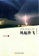 风起沙飞 封面