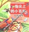 指尖上的小百科  昆虫王国 封面