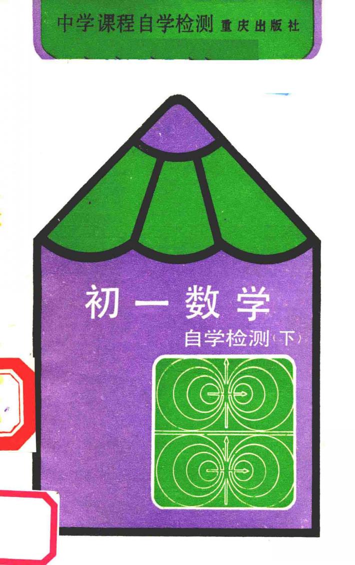 初一数学自学检测  下 封面