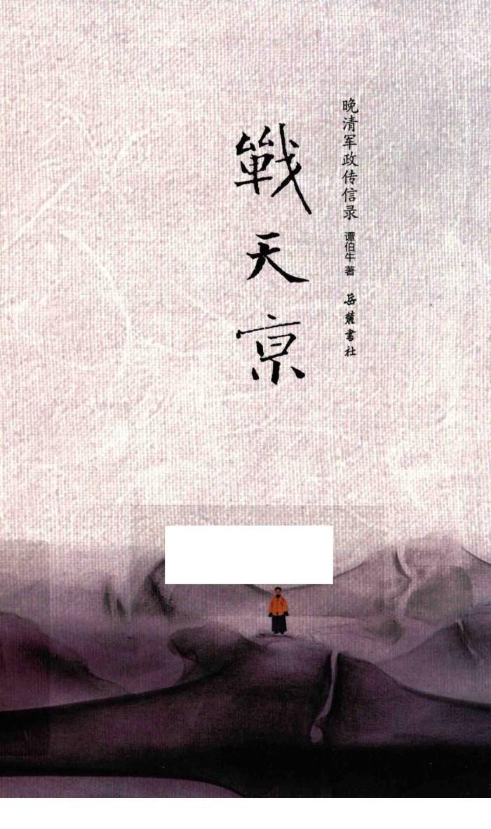 战天京  晚清军政传信录 封面