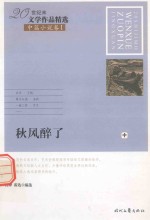 20世纪末文学作品精选  中篇小说卷  1  秋风醉了  中 封面