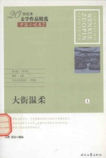 20世纪末文学作品精选  中篇小说卷  2  大街温柔  上 封面