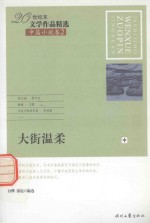 20世纪末文学作品精选  中篇小说卷  2  大街温柔  中 封面
