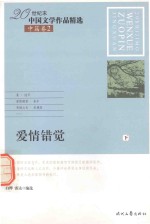 20世纪末文学作品精选  中篇小说卷  2  爱情错觉  下 封面