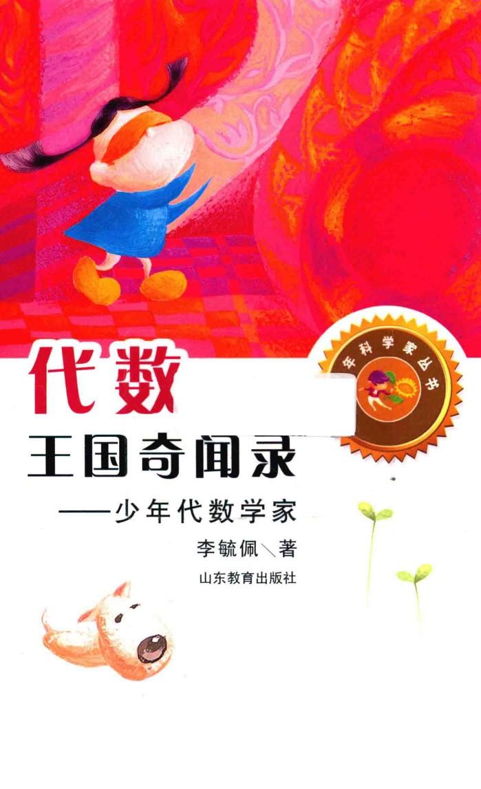 代数王国奇闻录 少年代数学家 封面