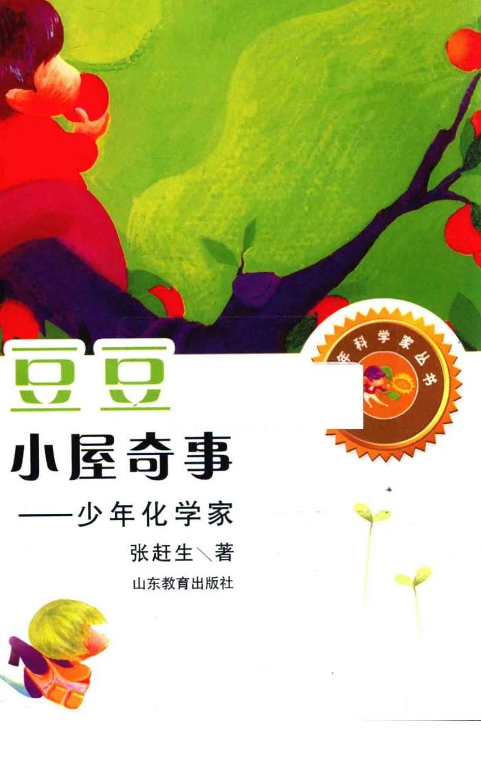 豆豆小屋奇事  少年化学家 封面