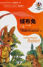 绒布兔 封面