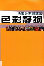 色彩静物  块面分割训练法 封面