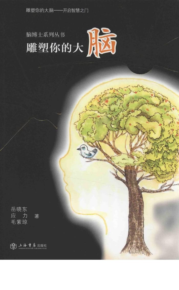 雕塑你的大脑 封面