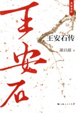 王安石传 电子书封面