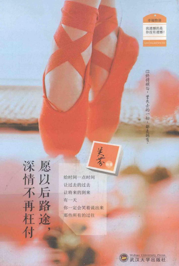 愿以后路途，深情不再枉付 封面