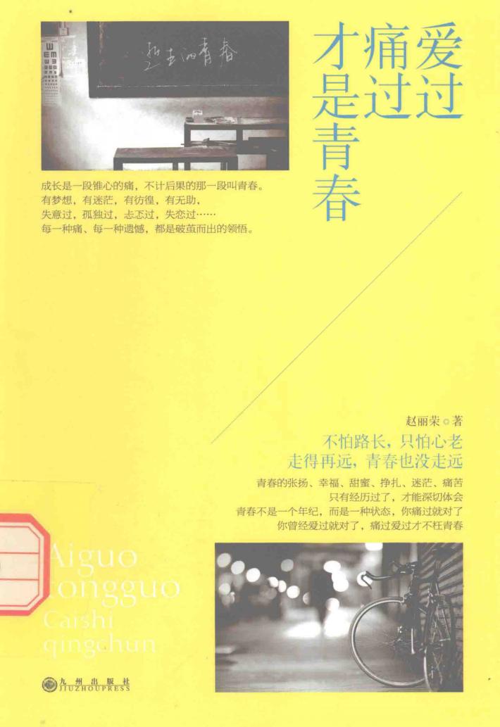 爱过痛过才是青春 封面