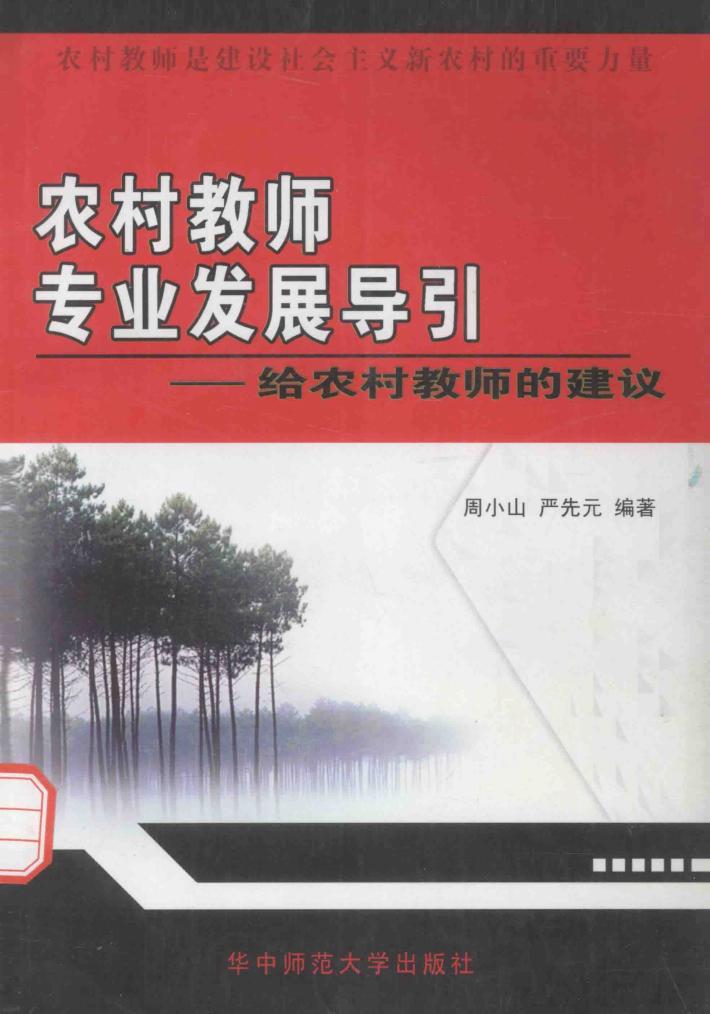 农村教师专业发展导引  给农村教师的建议 封面