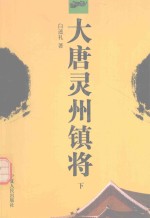 大唐灵州镇将  下 封面