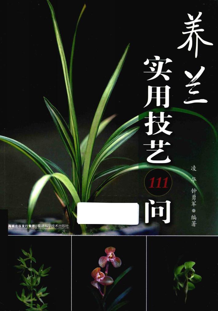 养兰实用技艺111问 封面