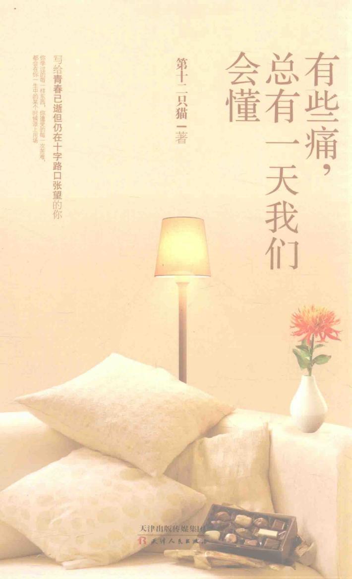 有些痛，总有一天我们会懂 封面