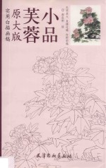 实用白描画稿  芙蓉小品 封面