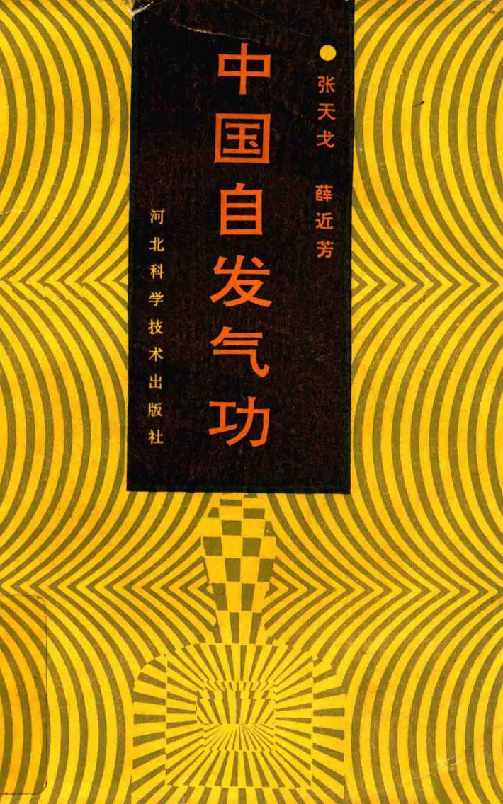 中国自发气功 封面