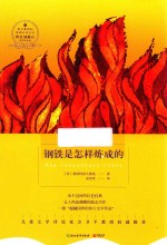 钢铁是怎样炼成的 封面