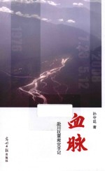 血脉  赴川抗震救灾手记 封面