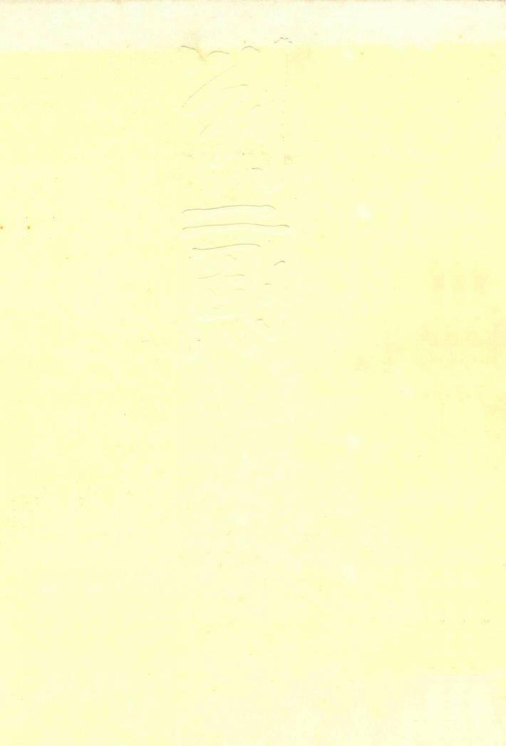 20世纪下半页中国画家丛书  新文人画  刘二刚 封面