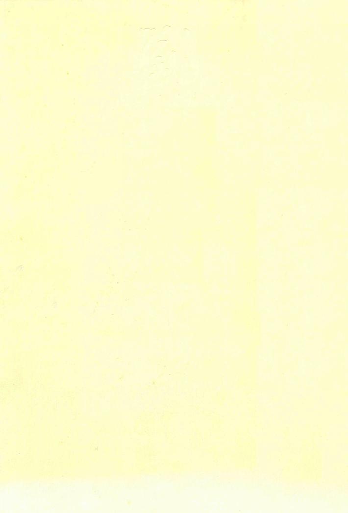 20世纪下半页中国画家丛书  新文人画  刘进安 封面