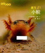 生命的故事  诞生了！小鲵 封面