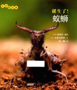 生命的故事  诞生了！蚁蛳 封面