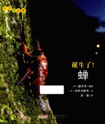 生命的故事  诞生了！蝉 封面